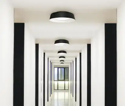 Ceiling Mounts