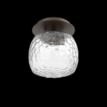 Hammerton SMB0091-01-FB-C-L1 - Single Glass Sconce & Flush Mount - Vessel