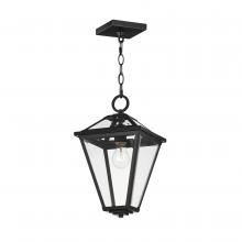 Maxim 30569CLBK - Prism-Single Pendant