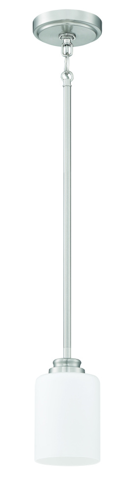 1 Light Mini Pendant